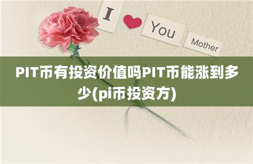 PIT币有投资价值吗PIT币能涨到多少(pi币投资方)