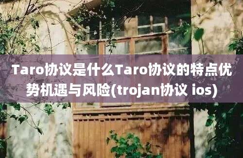 Taro协议是什么Taro协议的特点优势机遇与风险(trojan协议 ios)