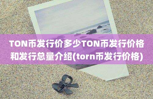 TON币发行价多少TON币发行价格和发行总量介绍(torn币发行价格)