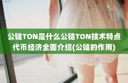 公链TON是什么公链TON技术特点代币经济全面介绍(公链的作用)