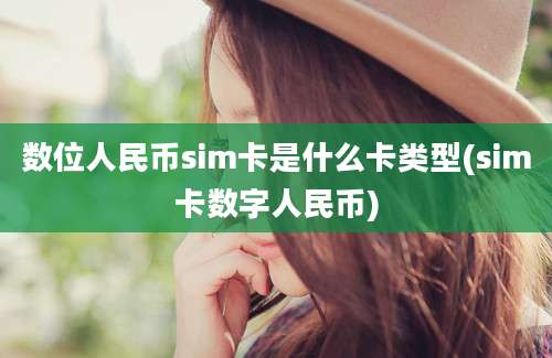 数位人民币sim卡是什么卡类型(sim卡数字人民币)