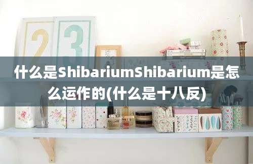 什么是ShibariumShibarium是怎么运作的(什么是十八反)