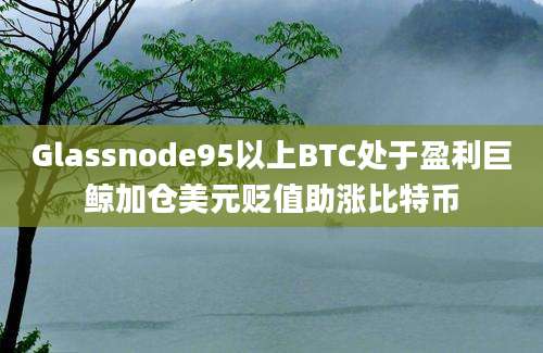 Glassnode95以上BTC处于盈利巨鲸加仓美元贬值助涨比特币