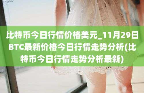 比特币今日行情价格美元_11月29日BTC最新价格今日行情走势分析(比特币今日行情走势分析最新)