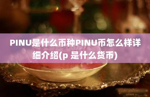 PINU是什么币种PINU币怎么样详细介绍(p 是什么货币)