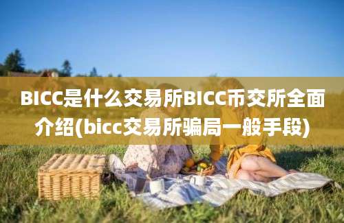 BICC是什么交易所BICC币交所全面介绍(bicc交易所骗局一般手段)