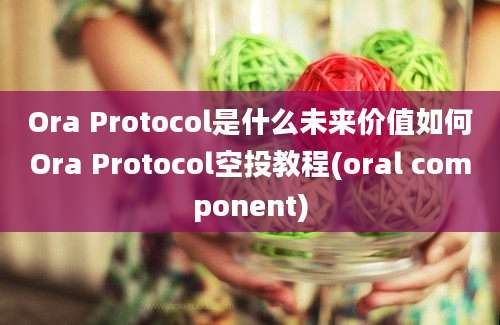 Ora Protocol是什么未来价值如何Ora Protocol空投教程(oral component)