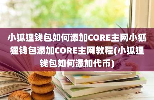 小狐狸钱包如何添加CORE主网小狐狸钱包添加CORE主网教程(小狐狸钱包如何添加代币)