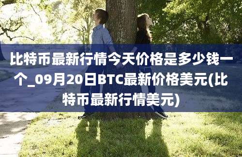 比特币最新行情今天价格是多少钱一个_09月20日BTC最新价格美元(比特币最新行情美元)