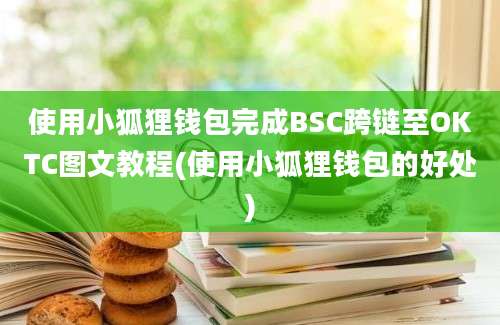 使用小狐狸钱包完成BSC跨链至OKTC图文教程(使用小狐狸钱包的好处)