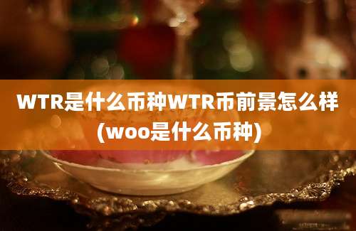 WTR是什么币种WTR币前景怎么样(woo是什么币种)