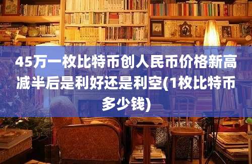 45万一枚比特币创人民币价格新高减半后是利好还是利空(1枚比特币多少钱)