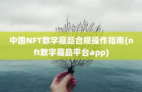 中国NFT数字藏品合规操作指南(nft数字藏品平台app)