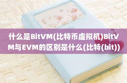 什么是BitVM(比特币虚拟机)BitVM与EVM的区别是什么(比特(bit))