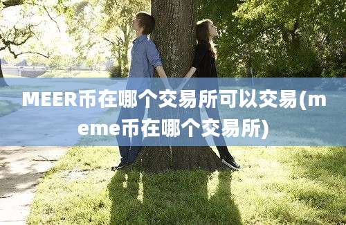 MEER币在哪个交易所可以交易(meme币在哪个交易所)