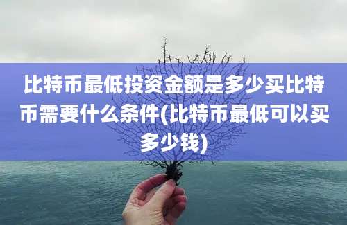 比特币最低投资金额是多少买比特币需要什么条件(比特币最低可以买多少钱)