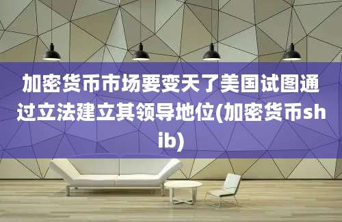 加密货币市场要变天了美国试图通过立法建立其领导地位(加密货币shib)