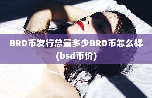 BRD币发行总量多少BRD币怎么样(bsd币价)