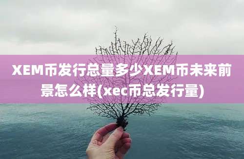 XEM币发行总量多少XEM币未来前景怎么样(xec币总发行量)