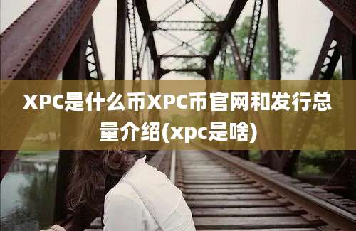 XPC是什么币XPC币官网和发行总量介绍(xpc是啥)