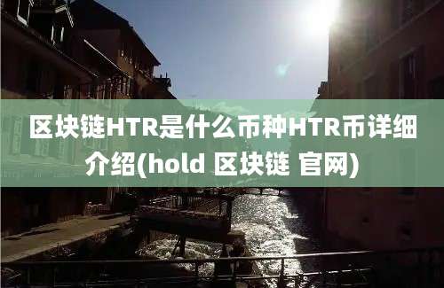 区块链HTR是什么币种HTR币详细介绍(hold 区块链 官网)