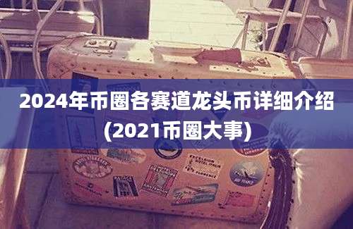 2024年币圈各赛道龙头币详细介绍(2021币圈大事)