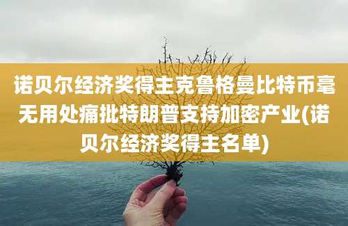 诺贝尔经济奖得主克鲁格曼比特币毫无用处痛批特朗普支持加密产业(诺贝尔经济奖得主名单)