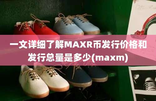 一文详细了解MAXR币发行价格和发行总量是多少(maxm)