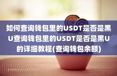 如何查询钱包里的USDT是否是黑U查询钱包里的USDT是否是黑U的详细教程(查询钱包余额)