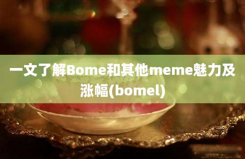 一文了解Bome和其他meme魅力及涨幅(bomel)