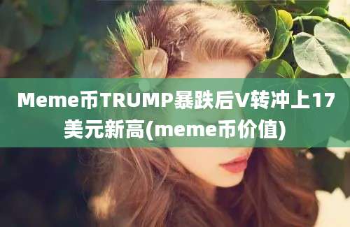 Meme币TRUMP暴跌后V转冲上17美元新高(meme币价值)