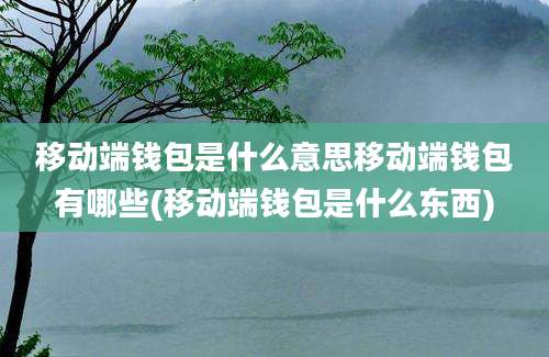 移动端钱包是什么意思移动端钱包有哪些(移动端钱包是什么东西)