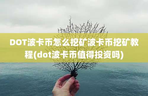 DOT波卡币怎么挖矿波卡币挖矿教程(dot波卡币值得投资吗)