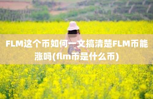 FLM这个币如何一文搞清楚FLM币能涨吗(flm币是什么币)