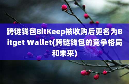 跨链钱包BitKeep被收购后更名为Bitget Wallet(跨链钱包的竞争格局和未来)