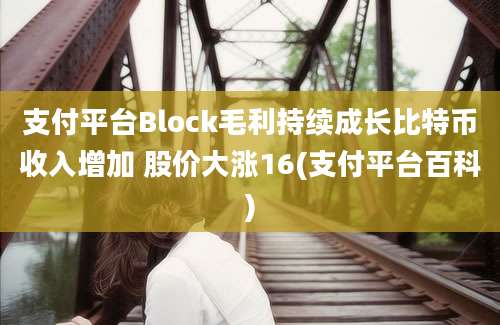 支付平台Block毛利持续成长比特币收入增加 股价大涨16(支付平台百科)