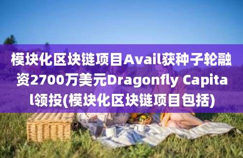 模块化区块链项目Avail获种子轮融资2700万美元Dragonfly Capital领投(模块化区块链项目包括)