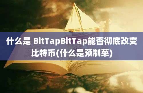 什么是 BitTapBitTap能否彻底改变比特币(什么是预制菜)