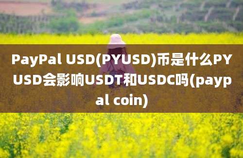 PayPal USD(PYUSD)币是什么PYUSD会影响USDT和USDC吗(paypal coin)