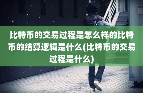 比特币的交易过程是怎么样的比特币的结算逻辑是什么(比特币的交易过程是什么)