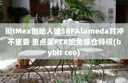 BitMex创始人呛SBFAlameda对冲不重要 重点是FTX给免爆仓特权(bybit ceo)