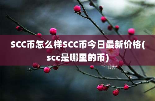 SCC币怎么样SCC币今日最新价格(scc是哪里的币)