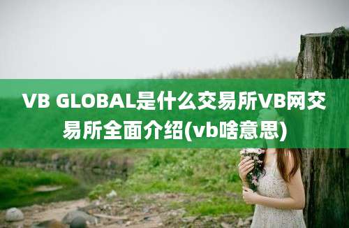 VB GLOBAL是什么交易所VB网交易所全面介绍(vb啥意思)