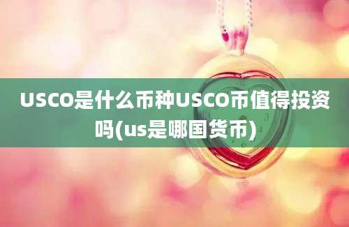 USCO是什么币种USCO币值得投资吗(us是哪国货币)