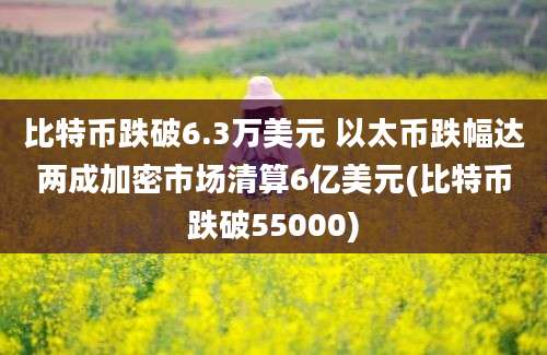 比特币跌破6.3万美元 以太币跌幅达两成加密市场清算6亿美元(比特币跌破55000)