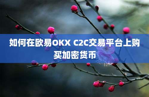 如何在欧易OKX C2C交易平台上购买加密货币