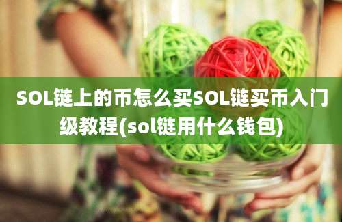 SOL链上的币怎么买SOL链买币入门级教程(sol链用什么钱包)