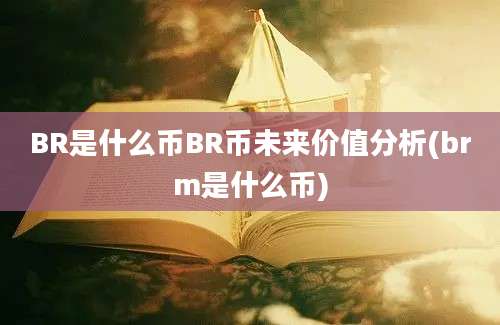 BR是什么币BR币未来价值分析(brm是什么币)