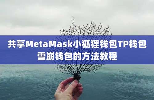 共享MetaMask小狐狸钱包TP钱包雪崩钱包的方法教程