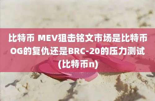 比特币 MEV狙击铭文市场是比特币OG的复仇还是BRC-20的压力测试(比特币n)